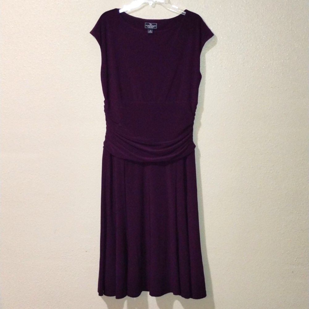 Women's sleeveless drop waist plum colored American living dress size 10